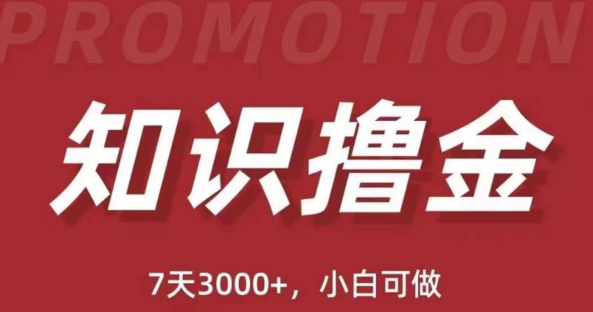 抖音知识撸金项目：简单粗暴日入1000+执行力强当天见收益(教程+资料)-第二象限