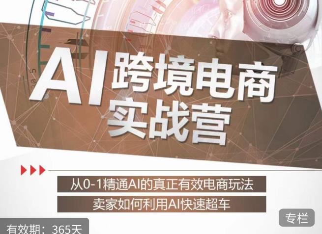 白龙老师·AI跨境电商实战营：从0-1精通Al的真正有效电商玩法，卖家如何利用Al快速超车-第二象限