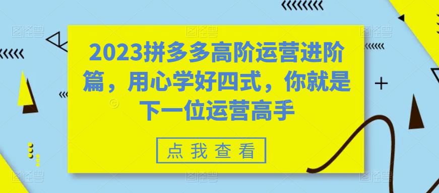 2023拼多多高阶运营进阶篇，用心学好四式，你就是下一位运营高手-第二象限