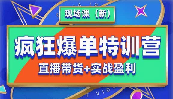 抖音短视频疯狂爆单特训营现场课（新）直播带货+实战案例-第二象限
