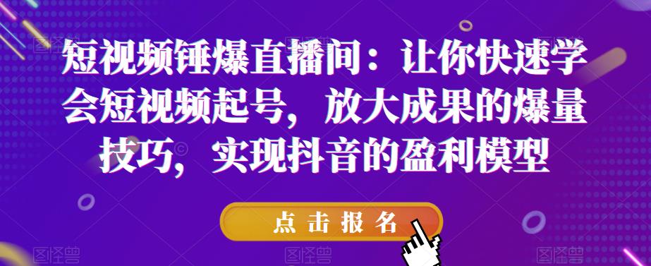 短视频锤爆直播间：让你快速学会短视频起号，放大成果的爆量技巧，实现抖音的盈利模型-第二象限