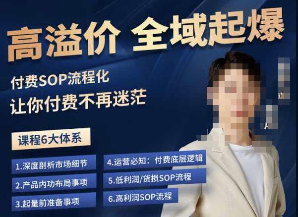 逸风-拼多多高溢价全域起爆，6大课程体系，付费玩法全套实操-第二象限