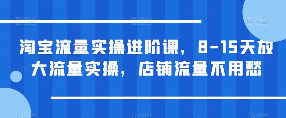 淘宝流量实操进阶课，8-15天放大流量实操，店铺流量不用愁-第二象限