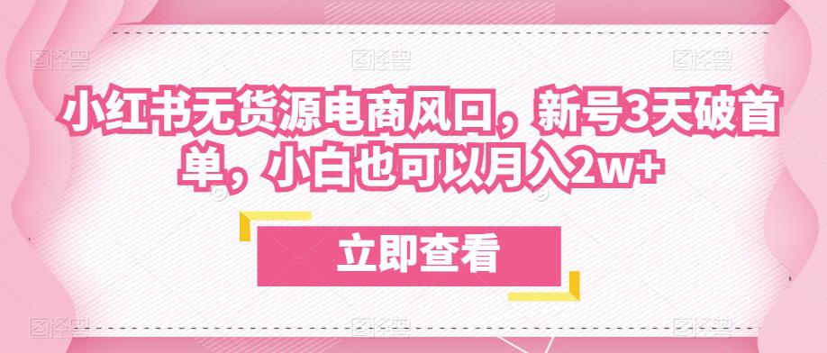 众狼电商余文小红书无货源电商风口，新号3天破首单，小白也可以月入2w+-第二象限