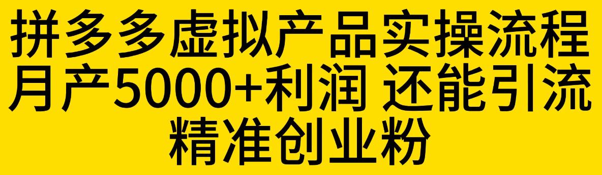 拼多多虚拟产品实操流程，月产5000+利润，还能引流精准创业粉【揭秘】-第二象限