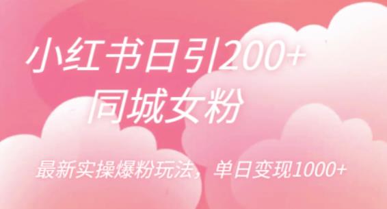 小红书日引200+同城女粉，最新实操爆粉玩法，单日变现1000+【揭秘】-第二象限