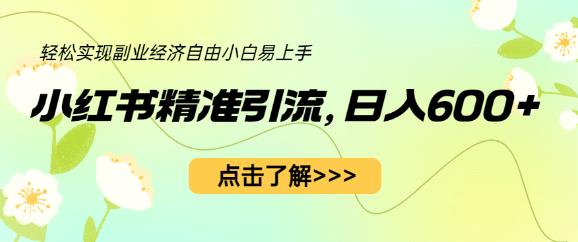 小红书精准引流，小白日入600+，轻松实现副业经济自由（教程+1153G资源）-第二象限