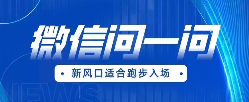 全网首发微信问一问新风口变现项目（价值1999元）【揭秘】-第二象限