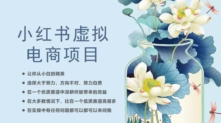 小红书虚拟电商从0到1，让你从小白到精英（20节实操课程）-第二象限