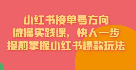 接单号方向·小红书微操实践课，快人一步，提前掌握小红书爆款玩法-第二象限