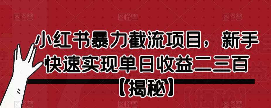 小红书暴力截流项目，新手快速实现单日收益二三百【仅揭秘】-第二象限