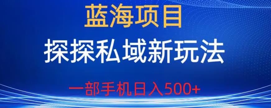 蓝海项目，探探私域新玩法，一部手机日入500+很轻松【揭秘】-第二象限