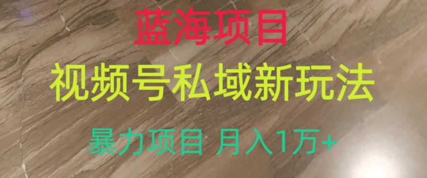 蓝海项目，视频号私域新玩法，暴力项目月入1万+【揭秘】-第二象限