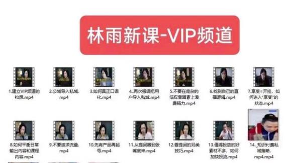 林雨新课VIP频道，玩赚私域/朋友圈/社群-第二象限