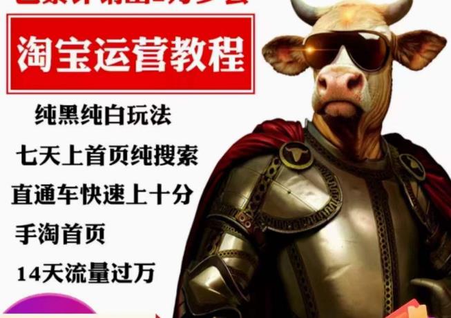 猫老师·淘系算法逆向解密，​纯黑纯白玩法，七天上首页纯搜索，手淘首页14天流量过万-第二象限