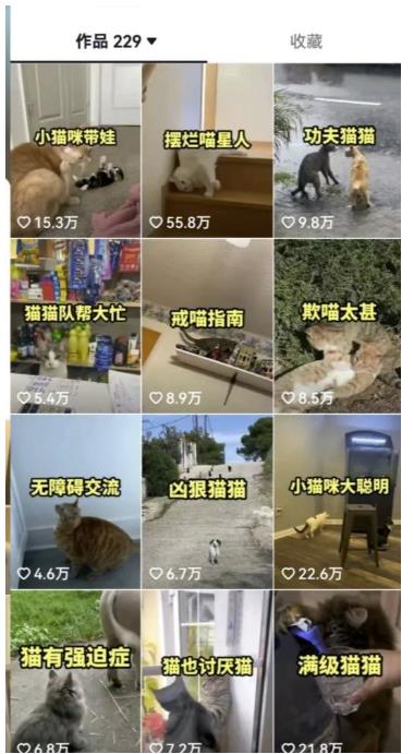 拆解抖音盘点类中视频变现副业项目，视频版一条龙大解析分享给你【视频课程】-第二象限