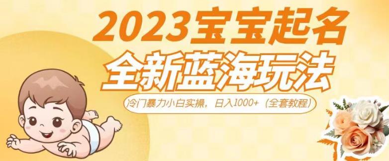 2023宝宝起名全新蓝海玩法，冷门暴力小白实操，日入1000+（全套教程）【揭秘】-第二象限
