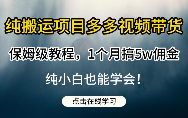 纯搬运项目多多视频带货保姆级教程，1个月搞5w佣金，纯小白也能学会【揭秘】-第二象限