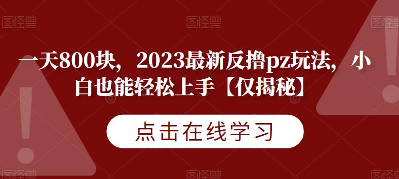 一天800块，2023最新反撸pz玩法，小白也能轻松上手【仅揭秘】-第二象限