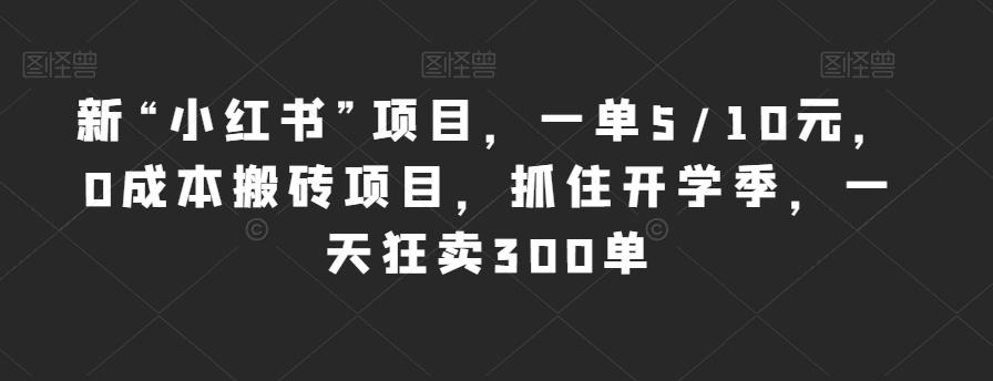 新“小红书”项目，一单5/10元，0成本搬砖项目，抓住开学季，一天狂卖300单【揭秘】-第二象限