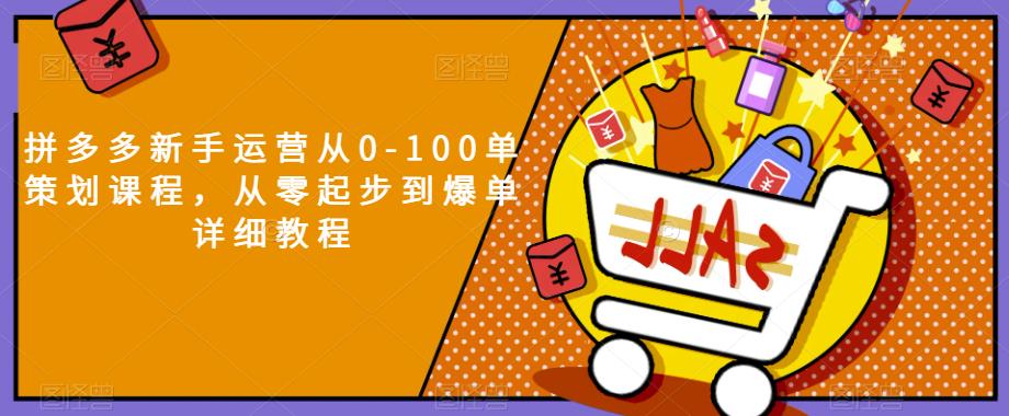 拼多多新手运营从0-100单策划课程，从零起步到爆单详细教程-第二象限