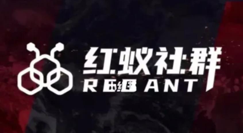 社群运营：红蚁社群【48节落地系统课程+2000人高端社群】-第二象限