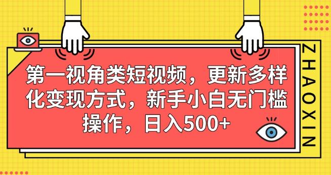 第一视角类短视频，更新多样化变现方式，新手小白无门槛操作，日入500+【揭秘】-第二象限