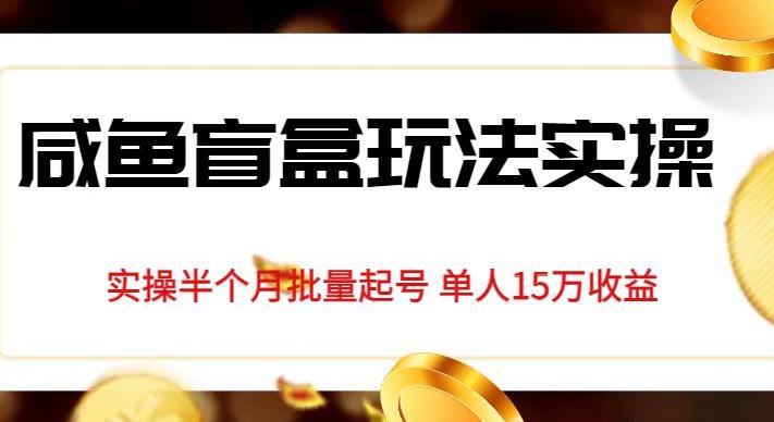 独家首发咸鱼盲盒玩法实操，半个月批量起号单人15万收益【揭秘】-第二象限