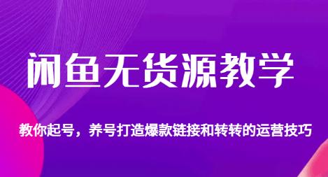 闲鱼无货源教学，教你起号，养号打造爆款链接以及转转的运营技巧-第二象限
