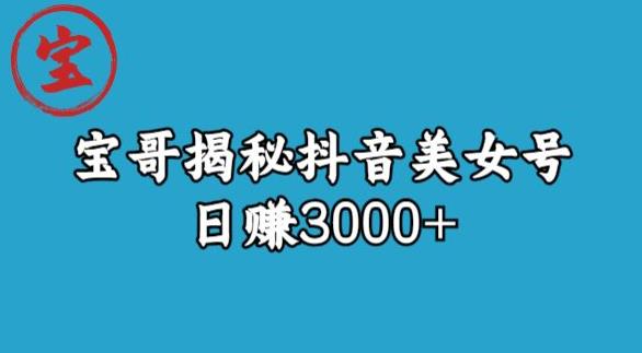 宝哥揭秘抖音美女号玩法，日赚3000+【揭秘】-第二象限