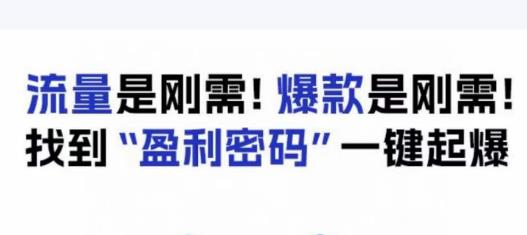 电商盈利精品课：6大盈利密码让产品更好卖，流量是刚需！爆款是刚需！找到”盈利密码”一键起爆-第二象限