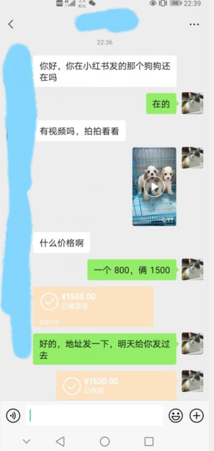 外边收费3980的同城萌宠项目，用最冷门的玩法冲击最热门的市场【揭秘】-第二象限