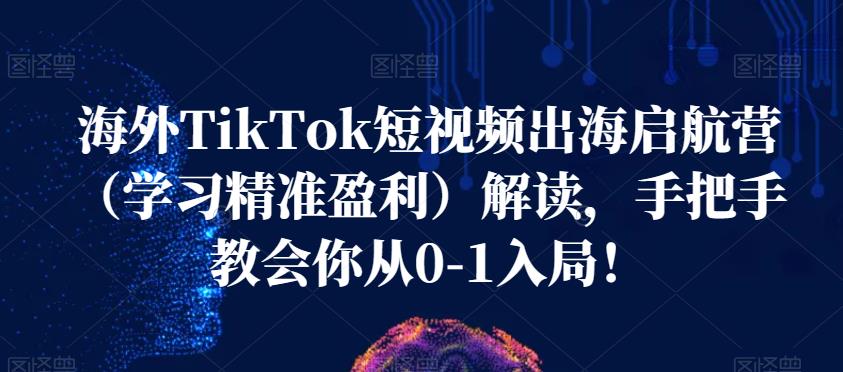 海外TikTok短视频出海启航营（学习精准盈利）解读，手把手教会你从0-1入局！-第二象限
