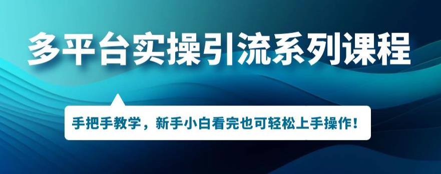 多平台引流实操系列课程，新手小白看完也可轻松上手进行引流操作-第二象限