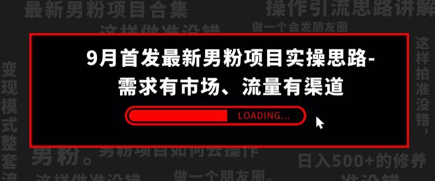 9月首发最新男粉项目实操思路-需求有市场，流量有渠道【揭秘】-第二象限