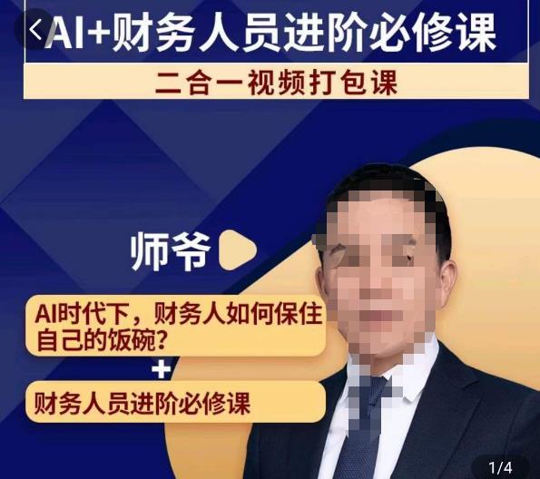 AI+财务人员进阶必修课二合一视频打包课，财务人员进阶必修课-第二象限