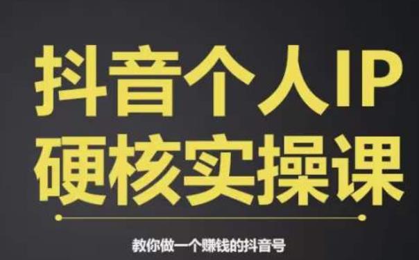 个人IP创富系统实战课，商业定位，流量打造，短视频变现，教你做个赚钱的抖音号-第二象限