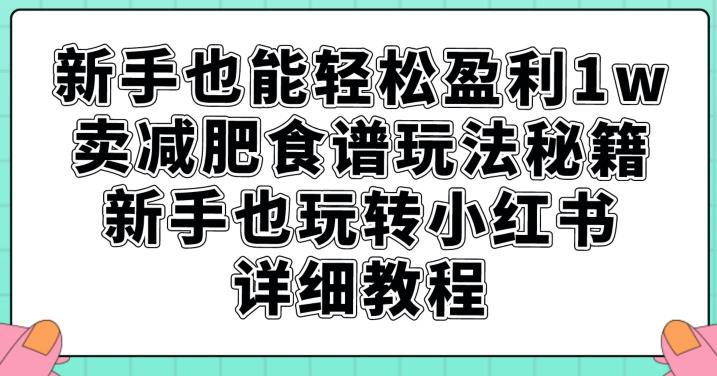 新手也能轻松盈利1w，卖减肥食谱玩法秘籍，新手也玩转小红书详细教程【揭秘】-第二象限