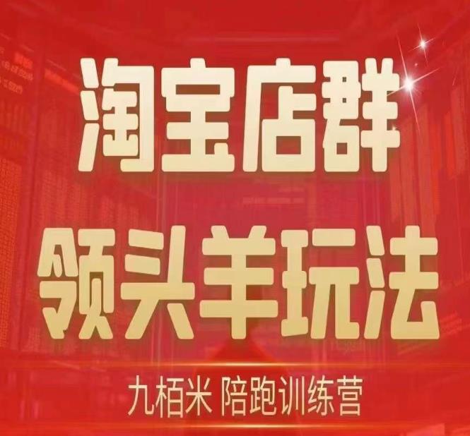 九栢米-淘宝店群领头羊玩法，教你整个淘宝店群领头羊玩法以及精细化/终极蓝海/尾销等内容-第二象限