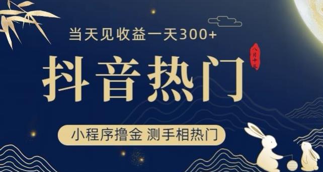 抖音最新小程序撸金，测手相上热门，当天见收益一小时变现300+【揭秘】-第二象限