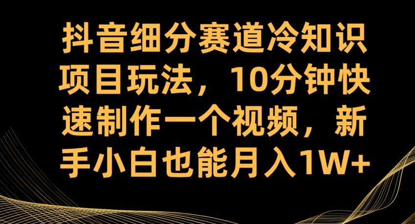 抖音细分赛道冷知识项目玩法，10分钟快速制作一个视频，新手小白也能月入1W+【揭秘】-第二象限