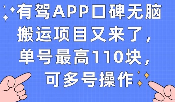 有驾APP口碑无脑搬运项目又来了，单号最高110块，可多号操作-第二象限