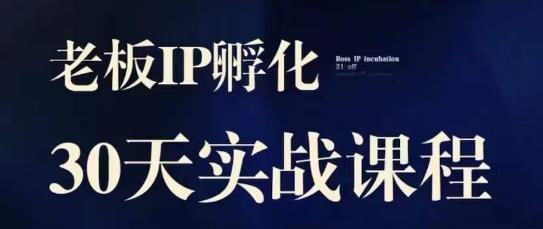 诸葛·2023老板IP实战课，实体同城引流获客，IP孵化必听-第二象限