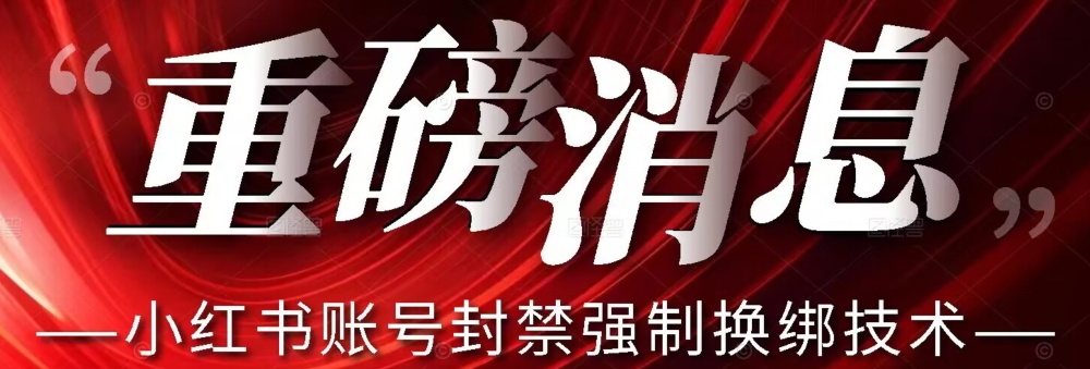 【最新】小红书账号封禁强制换绑技术可日赚300-第二象限