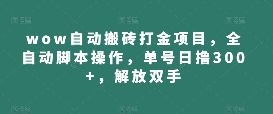wow自动搬砖打金项目，全自动脚本操作，单号日撸300+，解放双手【揭秘】-第二象限