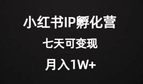 价值2000+的小红书IP孵化营项目，超级大蓝海，七天即可开始变现，稳定月入1W+-第二象限