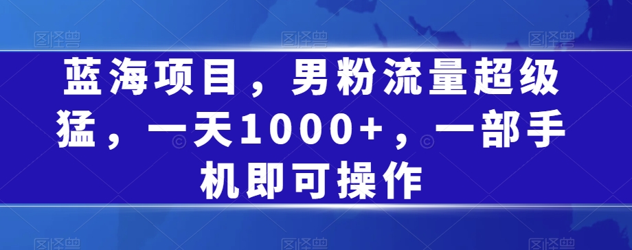 蓝海项目，男粉流量超级猛，一天1000+，一部手机即可操作【揭秘】-第二象限