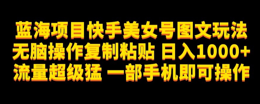 蓝海项目快手美女号图文玩法，无脑操作复制粘贴，日入1000+流量超级猛一部手机即可操作【揭秘】-第二象限