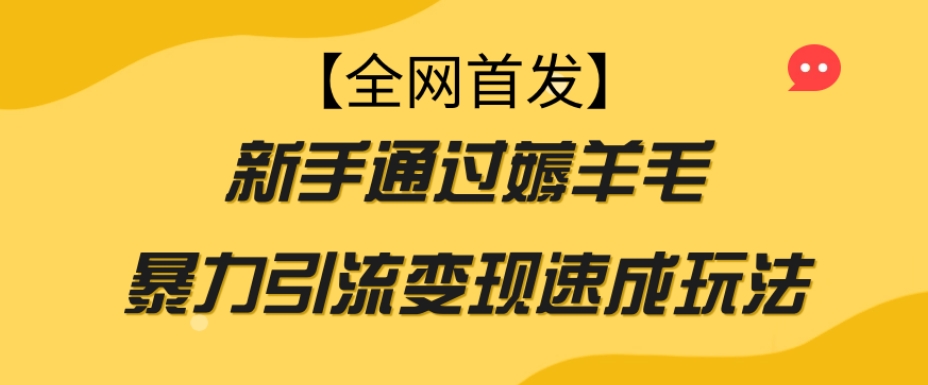【全网首发】新手通过薅羊毛暴力引流变现速成玩法-第二象限