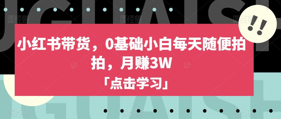 小红书带货，0基础小白每天随便拍拍，月赚3W【揭秘】-第二象限